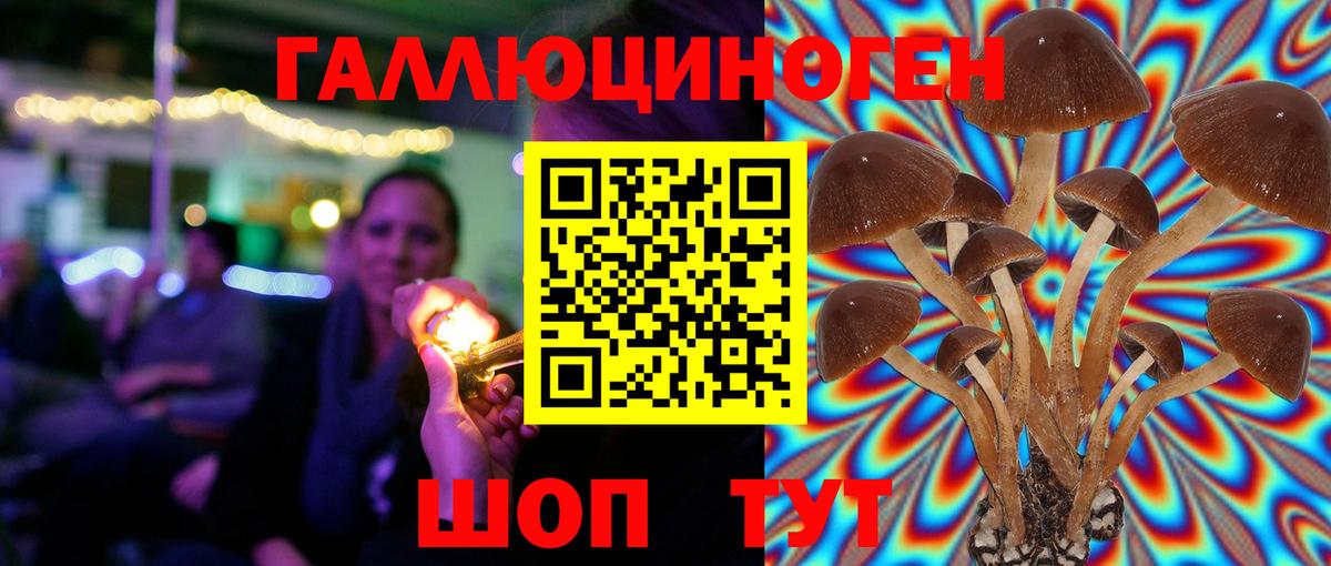 Моздок  Галлюциногенные грибы Psilocybe  Вход с VPN 