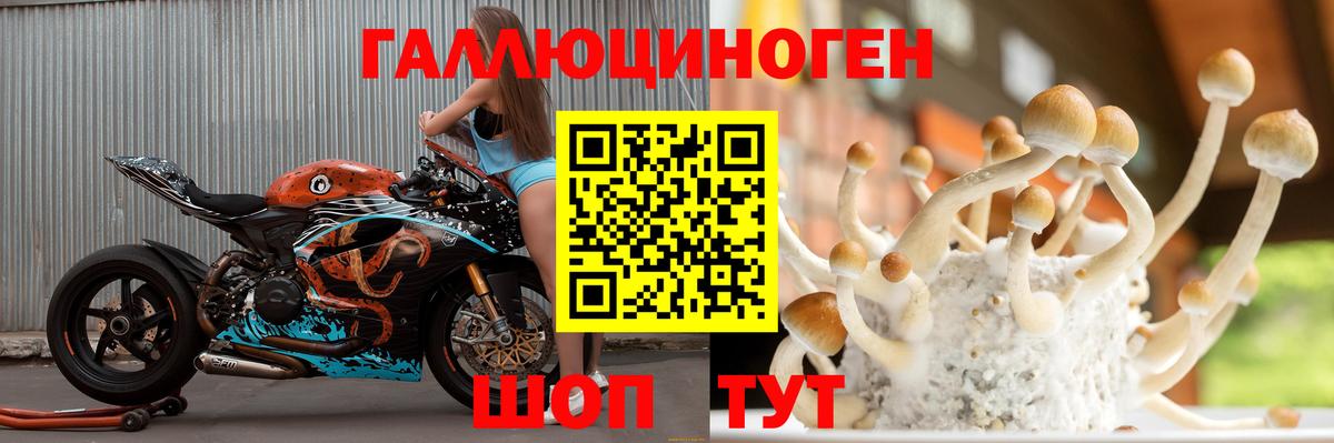 Галлюциногенные грибы Magic Shrooms Моздок